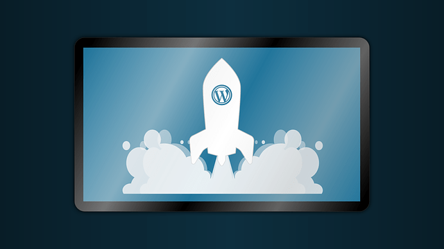 Why WordPress is better than other CMS?